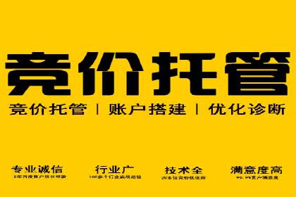 解析SEM推广代运营的五大成功要素